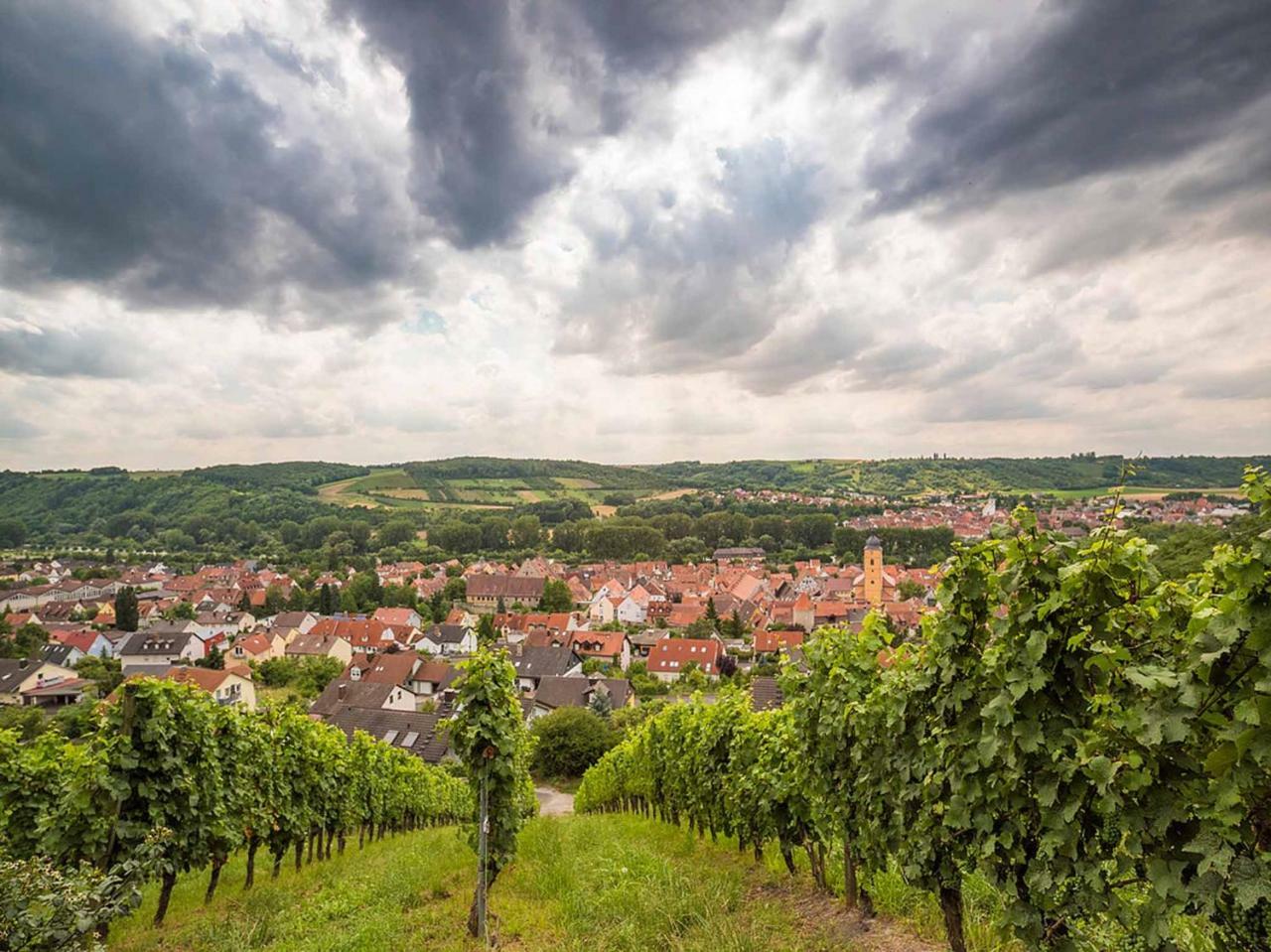 Gaestehaus Moenchshof Sommerhausen Luaran gambar